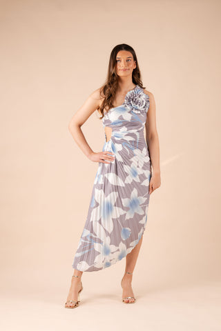 Taylor Print Dress