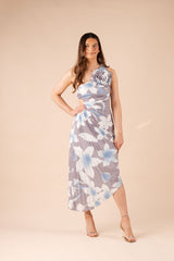 Taylor Print Dress